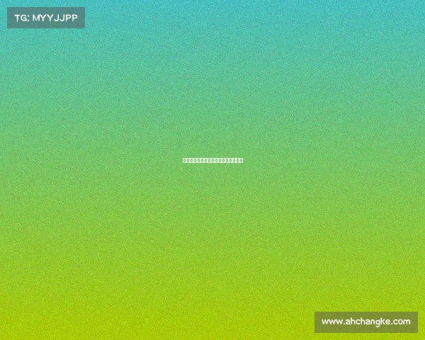 男篮国家队赛事—男篮国家队赛事关岛